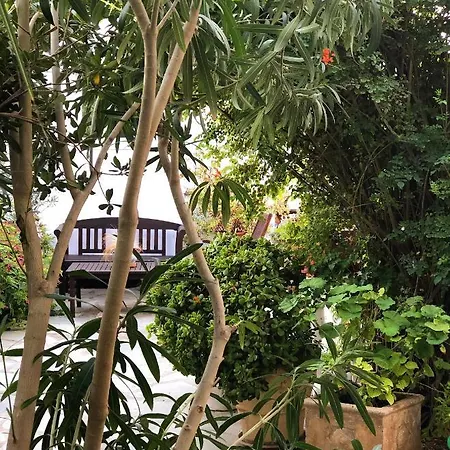 Hotel Matina